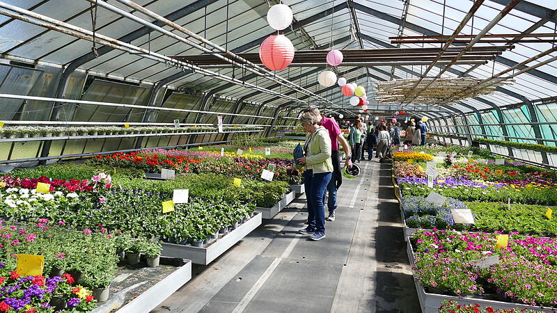 Der Tag der offenen G&auml;rtnereien 2026 in Bamberg war ein voller Erfolg.