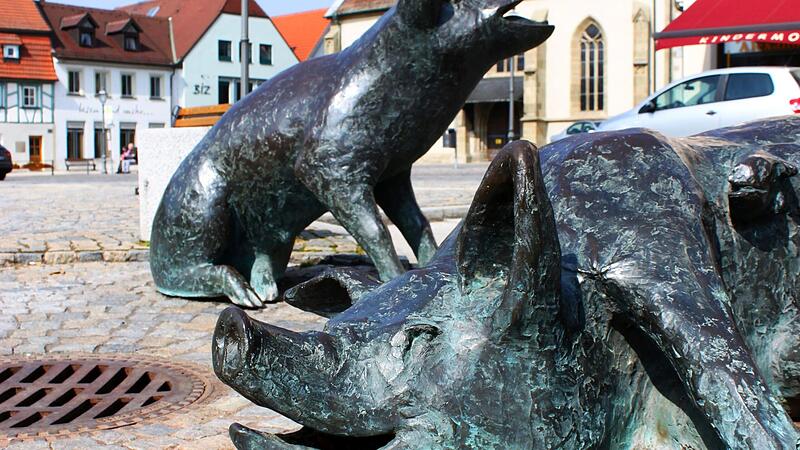 Das h&auml;tten die Schweinchen gern: Wasser in der Rinne auf dem Ha&szlig;furter Marktplatz zur Abk&uuml;hlung, denn schattige Pl&auml;tze sind hier rar.