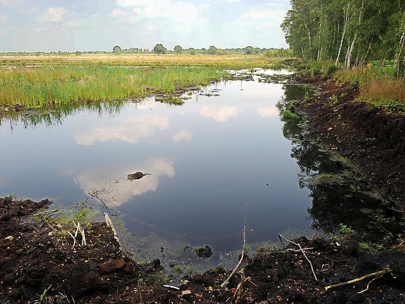 Wiedervern&auml;sstes Moor