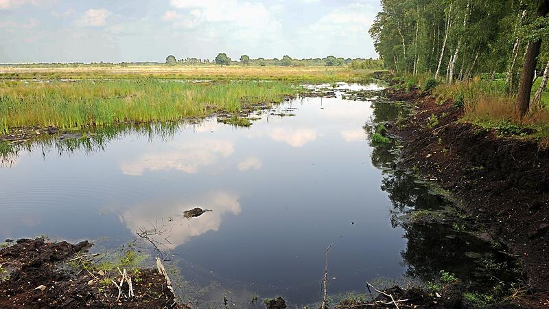 Wiedervern&auml;sstes Moor