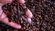 Kaffeepreis