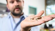 Foto Main-Post - 10617471