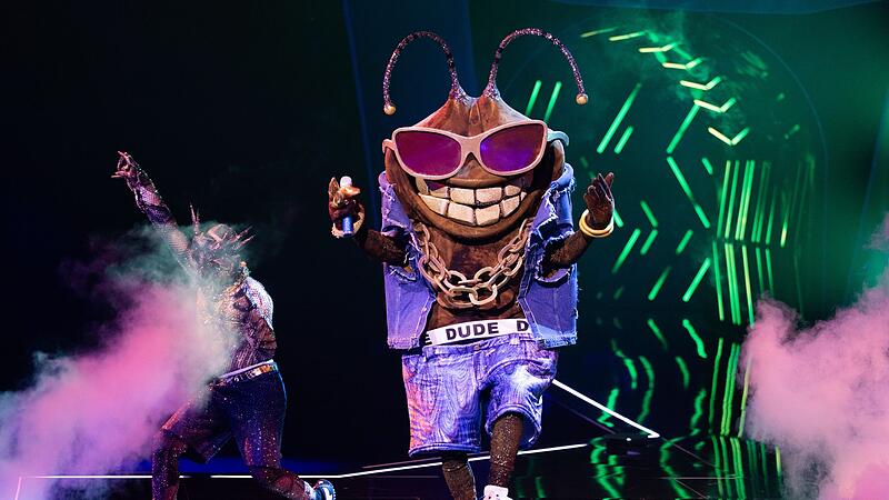 &bdquo;The Masked Singer&ldquo;