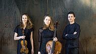 Amelio Trio begeistert bei Konzert in Bamberg Amelio Trio begeistert bei Konzert in Bamberg