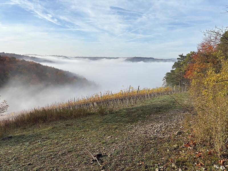 Fuchsstadt im Nebel