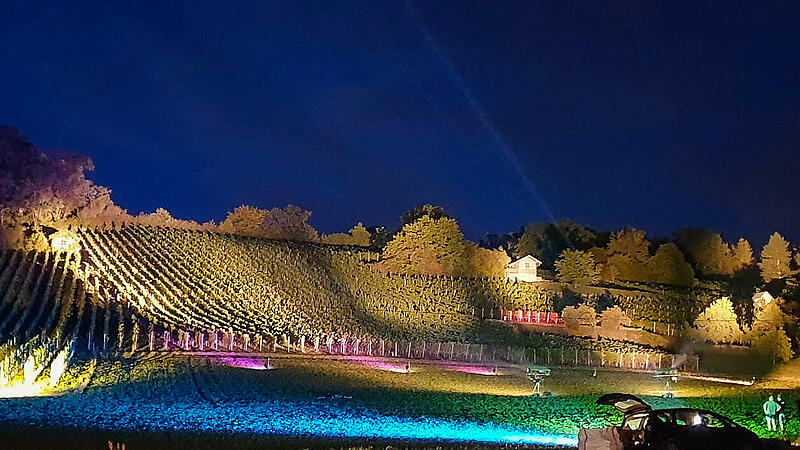 Impression vom letzten &bdquo;Weinberge in Flammen&ldquo; in Unterhaid im Landkreis Bamberg 2019.