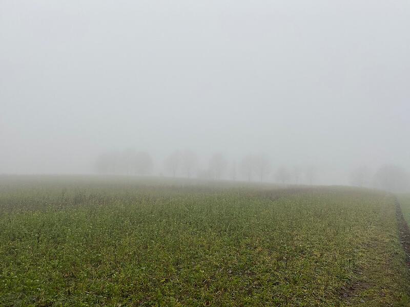 Umstellung auf Winterzeit: Worauf wir uns in Coburg freuen