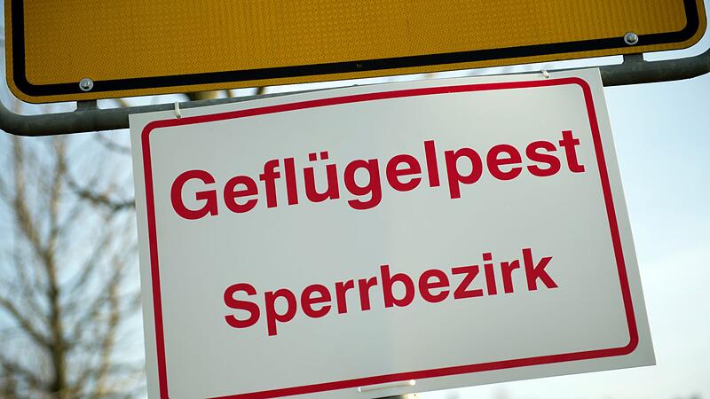 Geflügelpest