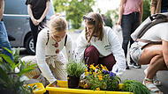 Der Workshop „Urban Gardening — Pflanzaktion“ der Uni Bamberg animierte schon 2022 zum Anbau von Gemüsepflanzen im eigenen Garten, auf dem Balkon, der Terrasse oder im Innenhof.