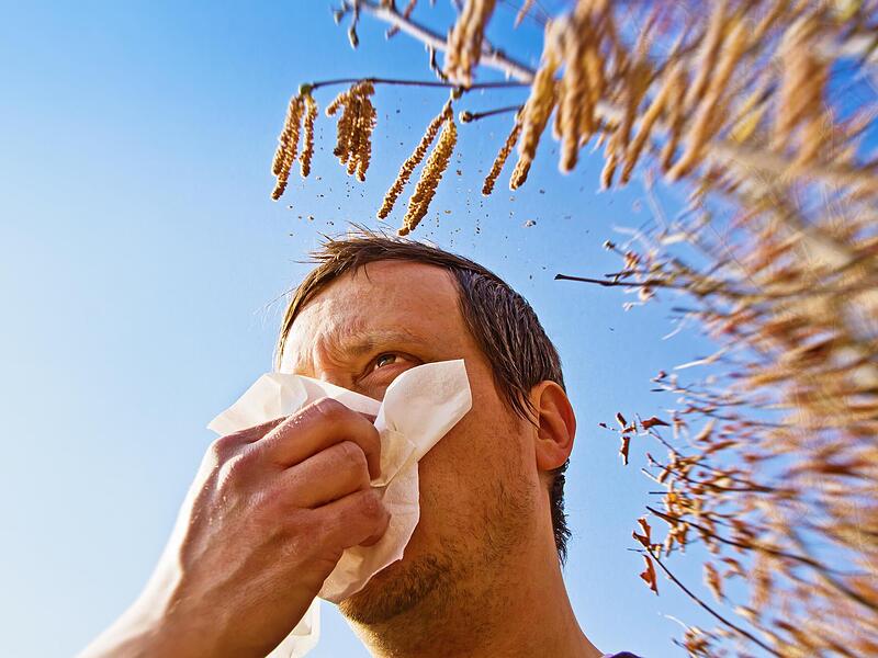 Die Heuschnupfenzeit hat l&auml;ngst begonnen.
