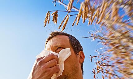 Die Heuschnupfenzeit hat l&auml;ngst begonnen.