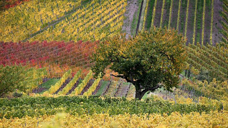 Herbst in Bayern