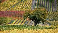 Herbst in Bayern