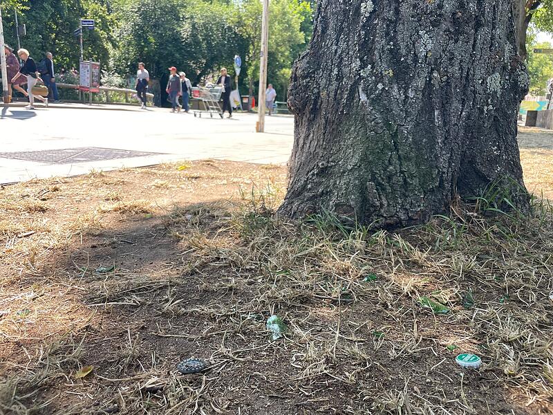 Rund um die Bushaltestelle Haagstra&szlig;e gibt es auch nach der t&auml;glichen S&auml;uberung zahlreiche Glassplitter.