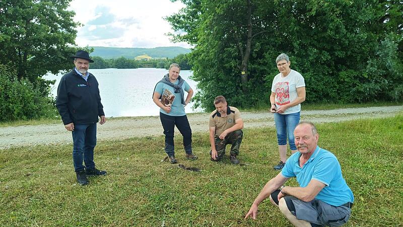 (von links) Michael Bienlein, Kreisobmann Bayerischer Bauernverband, Isabell Kremer, Sch&auml;tzerin, Martin Goller, Beauftragter f&uuml;r das Projekt Wildgansmanagement, Marion Warmuth, Kreisb&auml;uerin, und Stefan Seelmann, Landwirt aus Reundorf, begutachten ...