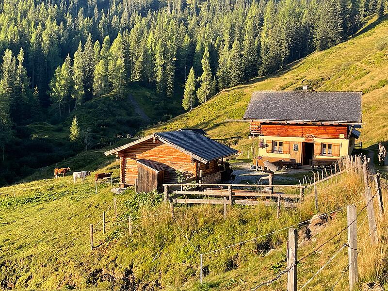 Faszination Berge: So sch&ouml;n ist es auf der Klingelbergalm M&uuml;hlbach