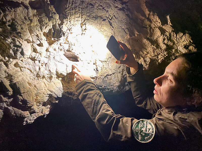 FledermäuseForchheim & Fränkische Schweiz Naturparkrangerin Julia Dummert zeigt ein mögliches Versteck für Fledermäuse