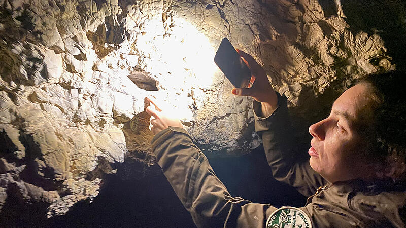 Naturparkrangerin Julia Dummert zeigt ein m&ouml;gliches Versteck f&uuml;r Flederm&auml;use