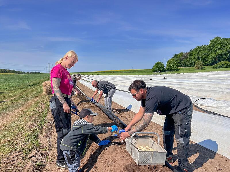 „Es ist anstrengend, macht aber auch Spaß“, bilanziert Tobias Wirth die Arbeit als Spargelstecher unter den wachsamen Augen seiner Frau. „Es ist anstrengend, macht aber auch Spaß“, bilanziert Tobias Wirth die Arbeit als Spargelstecher unter den wachsamen Augen seiner Frau.