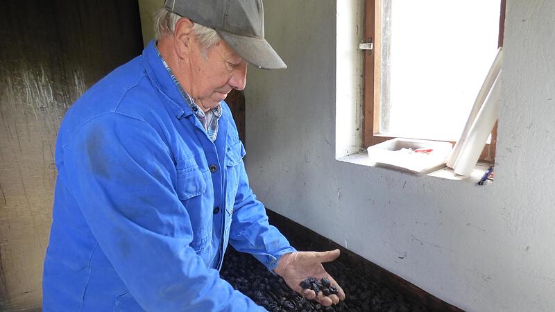 Friedrich Kropfeld d&ouml;rrt in seiner Darre in Drosendorf (Marktgemeinde Eggolsheim) noch Obst wie Zwetschgen.Forchheim & Fr&auml;nkische Schweiz