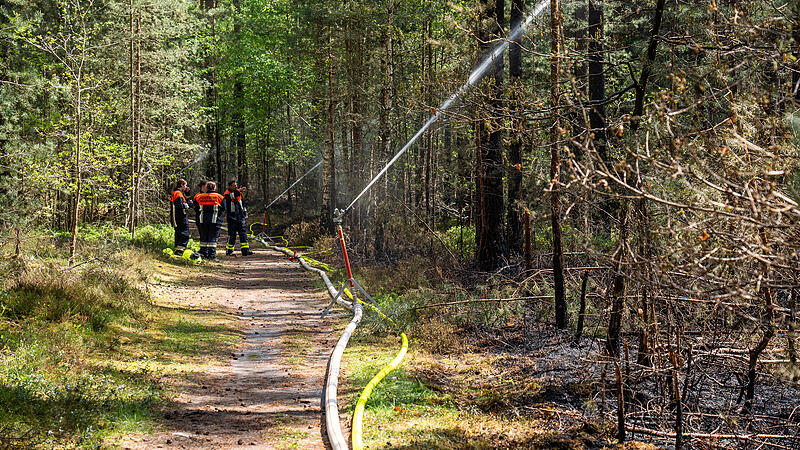 Ein Bild vom Einsatz mitten im Tennenloher Forst. Hier spritzen Kreisregner Wasser in den Wald, um den Brand einzudämmen. Ein Bild vom Einsatz mitten im Tennenloher Forst. Hier spritzen Kreisregner Wasser in den Wald, um den Brand einzudämmen.