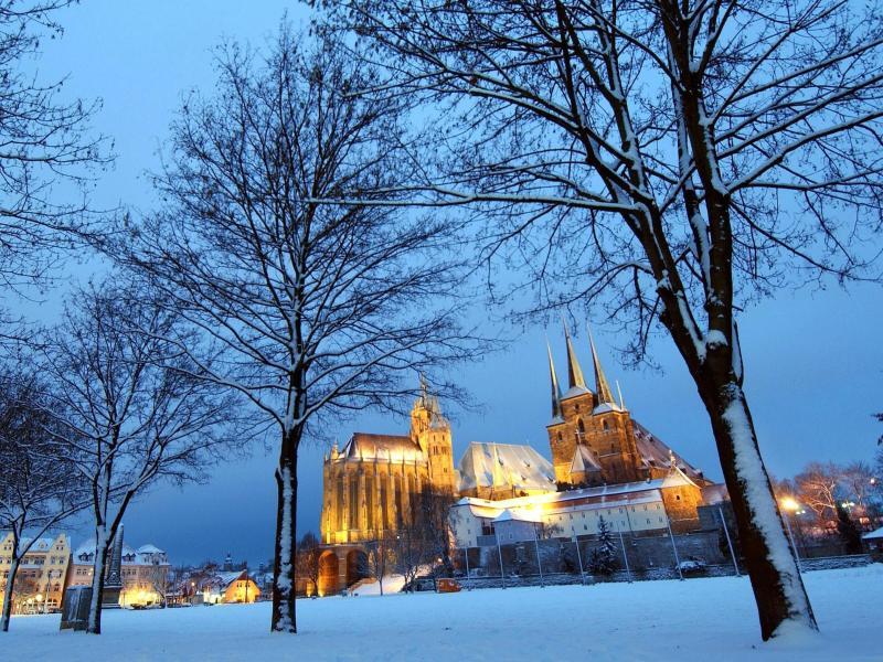 Dom und Severikirche