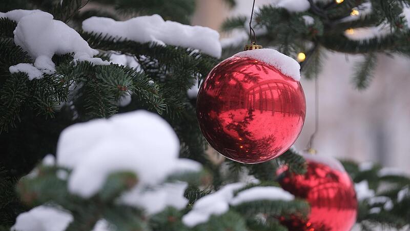 Kulmbachs H&auml;ndler suchen den sch&ouml;nsten Weihnachtsbaum in der Langgasse.