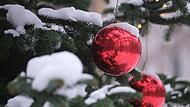 Kulmbachs Händler suchen den schönsten Weihnachtsbaum in der Langgasse.