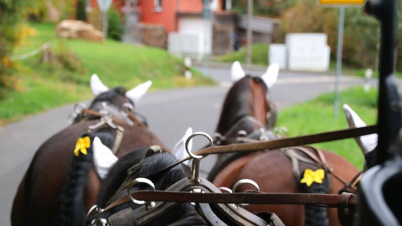 Gespann der Postkutsche