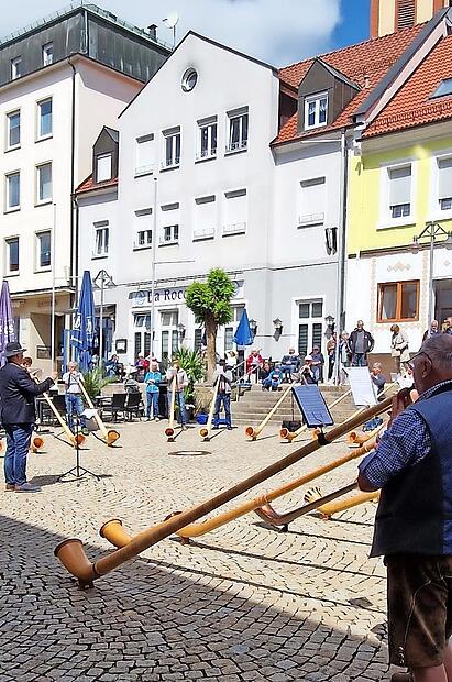 Die Alphornbl&auml;ser auf dem Marktplatz.