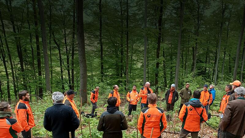 Den Wandel fit zu machen f&uuml;r den Klimawandel, erfordert einen genauen und langfristigen Plan. Gelingen kann das nur gemeinsam.