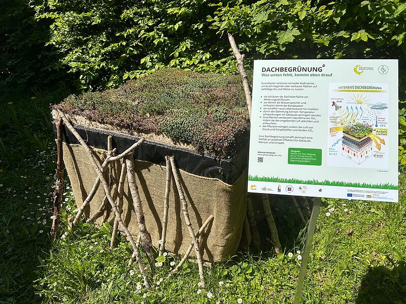 Zeigen, wie leicht Naturschutz sein kann: Contakt-Garten in Coburg eröffnet