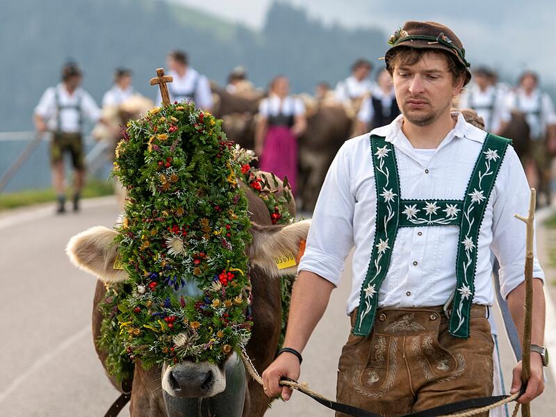 Beginn der Viehscheid-Saison im Allg&auml;u