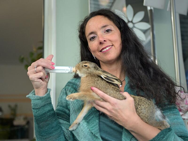 Besuch in einer Wildtier-Auffangstation