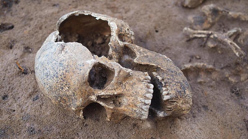 Bislang wurden 220 Bestattungen von den Arch&auml;ologen freigelegt.