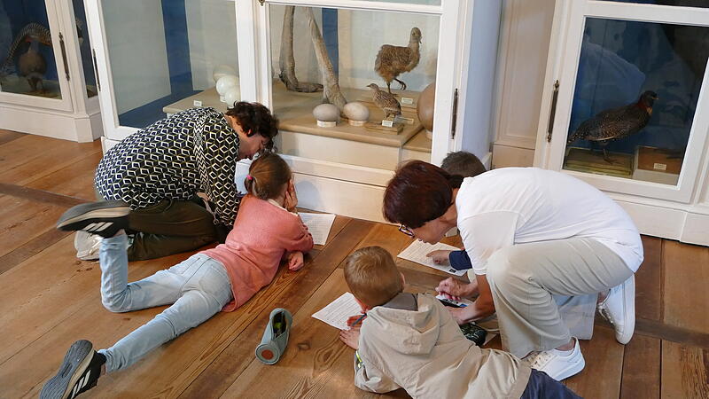 Ukrainerinnen in Bamberg Austausch