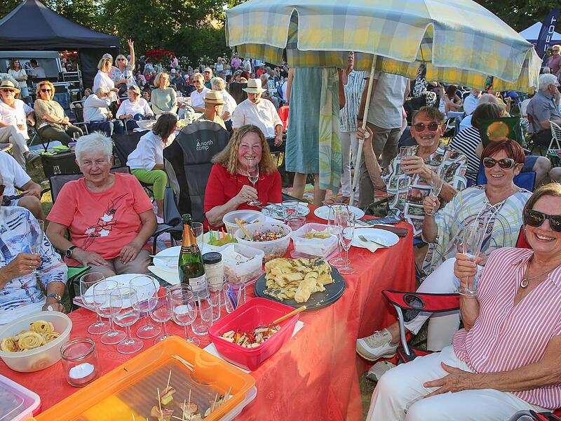 Seit 18 Uhr hatten sich diese Freunde ihren Platz beim Klassik Open Air gesichert- mit Lachs, Sekt, Sonnenschirm und guter Laune wie immer bestens vorbereitet.