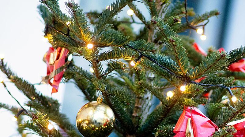 Lohnt es sich tatsächlich, für die Beleuchtung des Weihnachtsbaums auf eine LED-Lichterkette zurückzugreifen? Lohnt es sich tatsächlich, für die Beleuchtung des Weihnachtsbaums auf eine LED-Lichterkette zurückzugreifen?