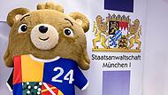 Gef&auml;lschtes EM-Maskottchen-Kost&uuml;m