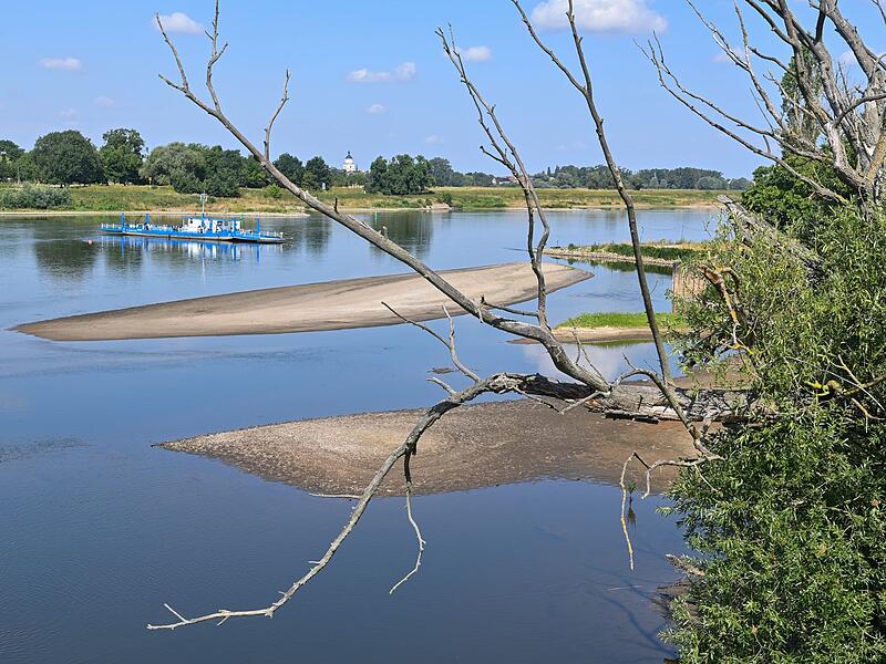 Niedrigwassern an der Elbe