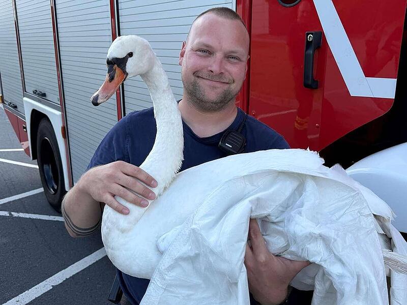 Coburg: Feuerwehr r&uuml;ckt zu ungew&ouml;hnlicher Tierrettung aus