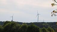 Im Wald auf dem M&uuml;nnerst&auml;dter Schindberg sind bereits mehrere Windr&auml;der gebaut worden. Jetzt sollen 15 im Bildh&auml;user Forst folgen.