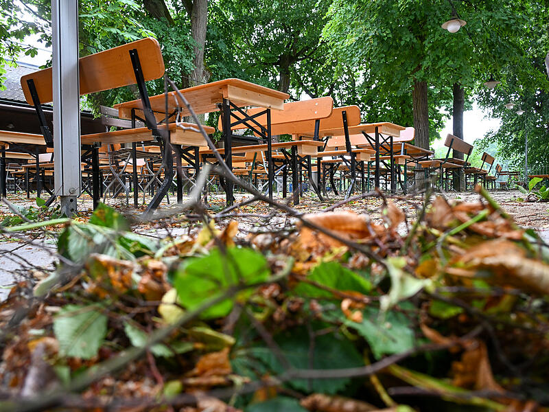 Sturmschäden LaurenziplatzSturmschäden am Laurenziplatz u.a.
