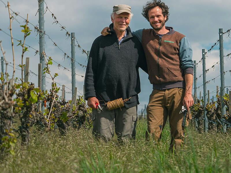 Helmut und Michael Christ (von links) sind zu allen Jahreszeiten im Weinberg.