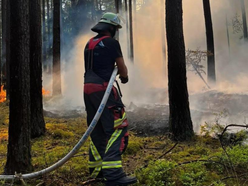 Es bleibt hei&szlig; und trocken, die Waldbrandgefahr in Franken steigt. M&uuml;ssen die Einsatzkr&auml;fte auch heuer wieder wie in Baiersdorf vor gut einem Jahr (Foto) ausr&uuml;cken? Es gibt eine gute Nachricht&nbsp;&ndash; und eine schlechte.