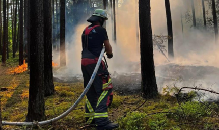 Ein Feuerwehrmann bei Löscharbeiten im Markwald bei Baiersdorf am Nachmittag des 30. Juli 2025. Es bleibt heiß und trocken, die Waldbrandgefahr in Franken steigt. Müssen die Einsatzkräfte auch heuer wieder wie in Baiersdorf vor gut einem Jahr (Foto) ausrücken? Es gibt eine gute Nachricht – und eine schlechte.