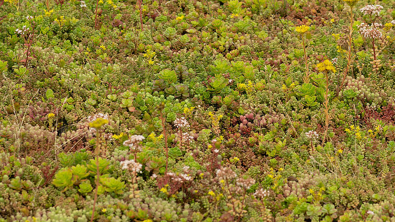 Gef&auml;sserie in Fuchsstadt