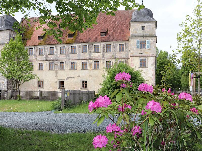 Bildergalerie: Wenn der Kreis Kronach zum Bl&uuml;tenmeer wirdBildergalerie: Wenn der Kreis Kronach zum Bl&uuml;tenmeer wird