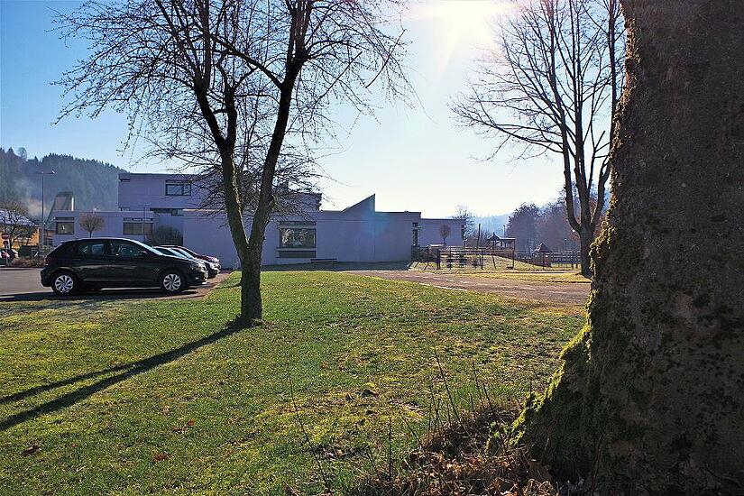 Der Wallenfelser Stadtrat will für mehr Artenvielfalt sorgen. Ausgesuchte Flächen wie hier am Bildungszentrum sollen zukünftig nur noch einmal im Jahr gemäht werden.