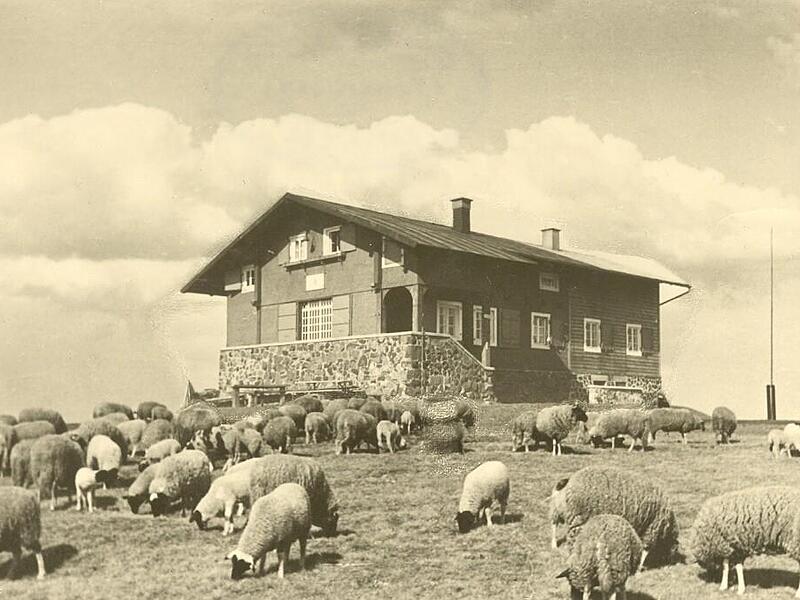 Idyll mit Rhönschafen, aufgenommen um 1950. Idyll mit Rhönschafen, aufgenommen um 1950.